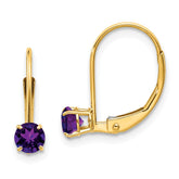 14K Amethyst Earrings February